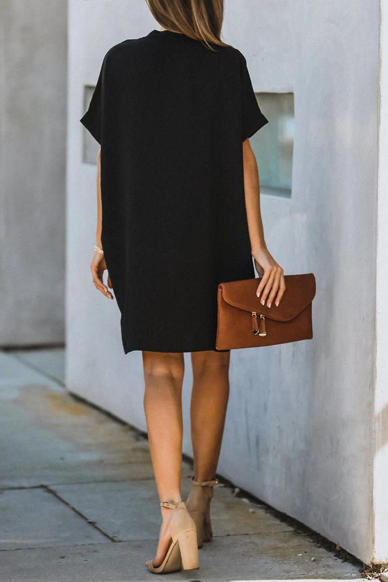 Sophisticated Dress with a Clean Classic Look