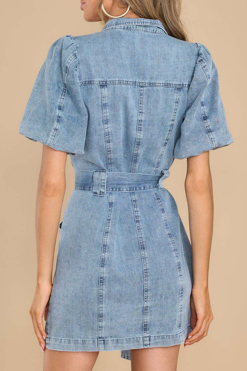 Sophisticated Dress with a Clean Classic Look