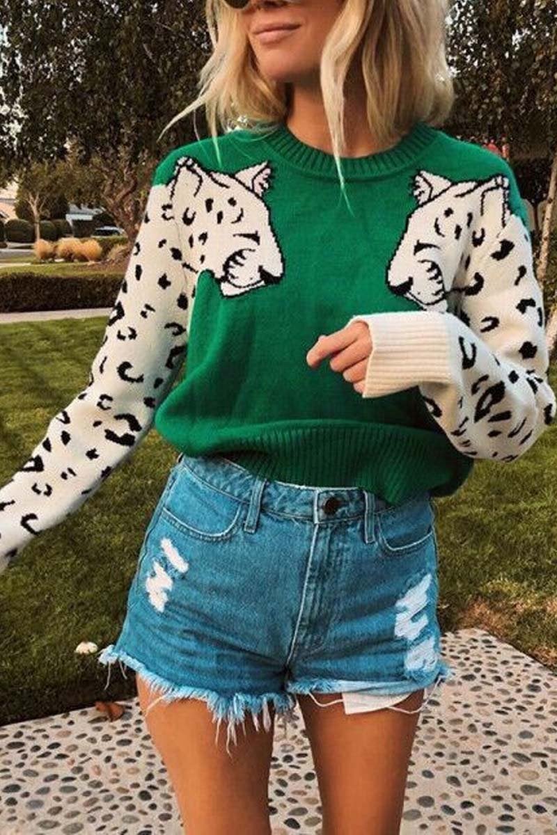 Gracefully Styled Sweater for Any Occasion