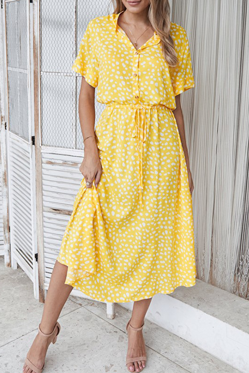 Sophisticated Dress with a Clean Classic Look