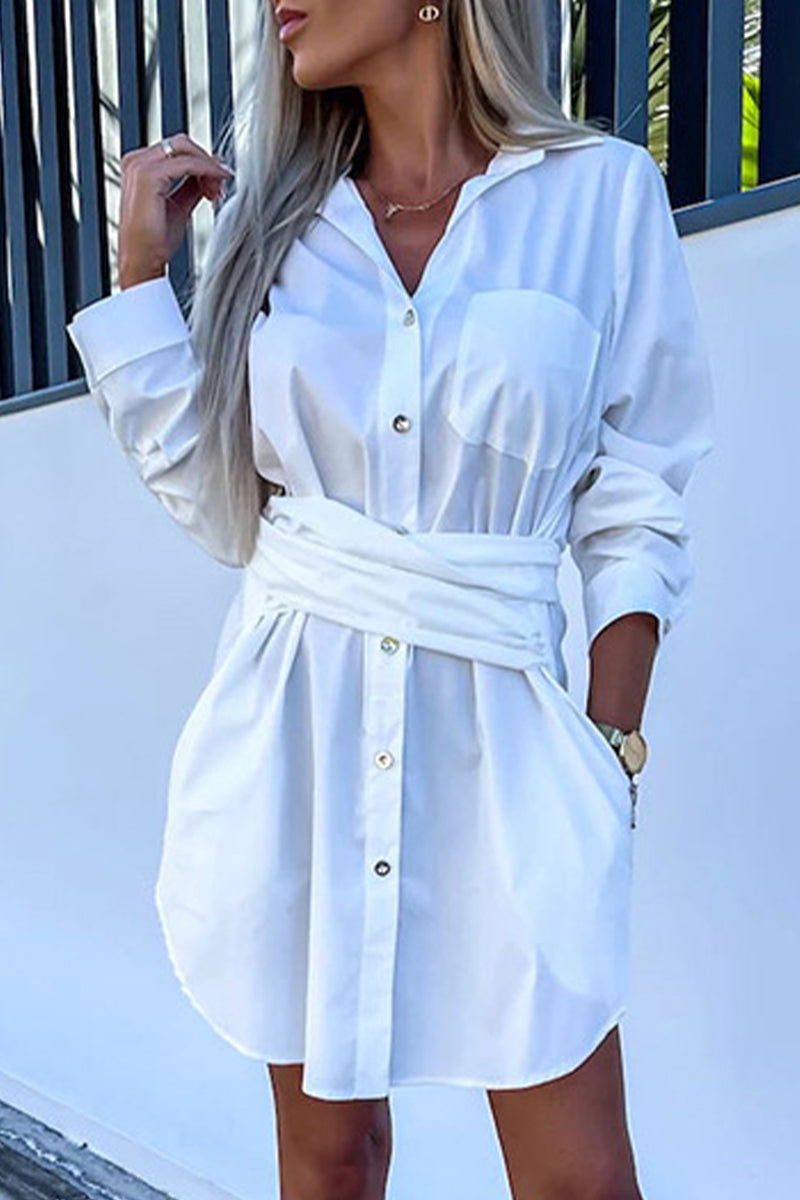 Sophisticated Dress with a Clean Classic Look