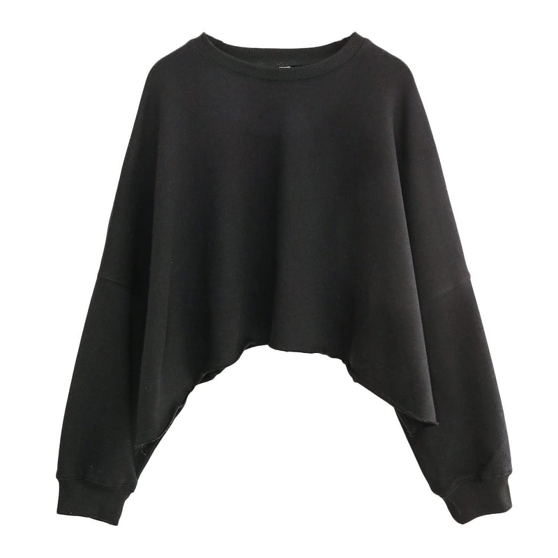 Well Tailored Sweater with a Graceful Silhouette