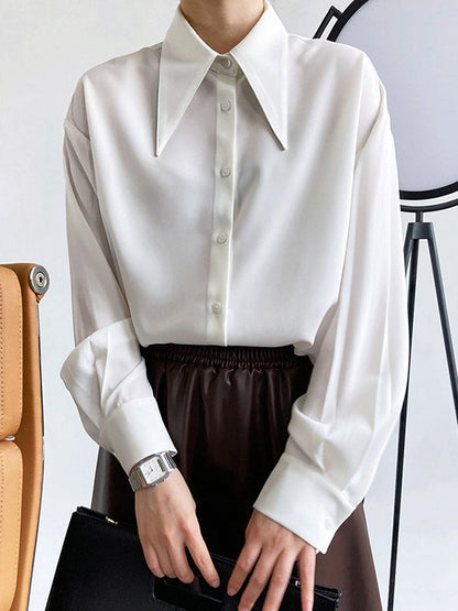 Sophisticated Blouse with a Clean Classic Look