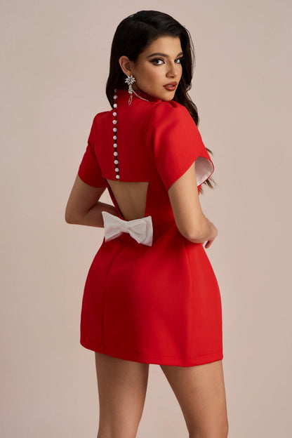Gracefully Styled Dress for Any Occasion