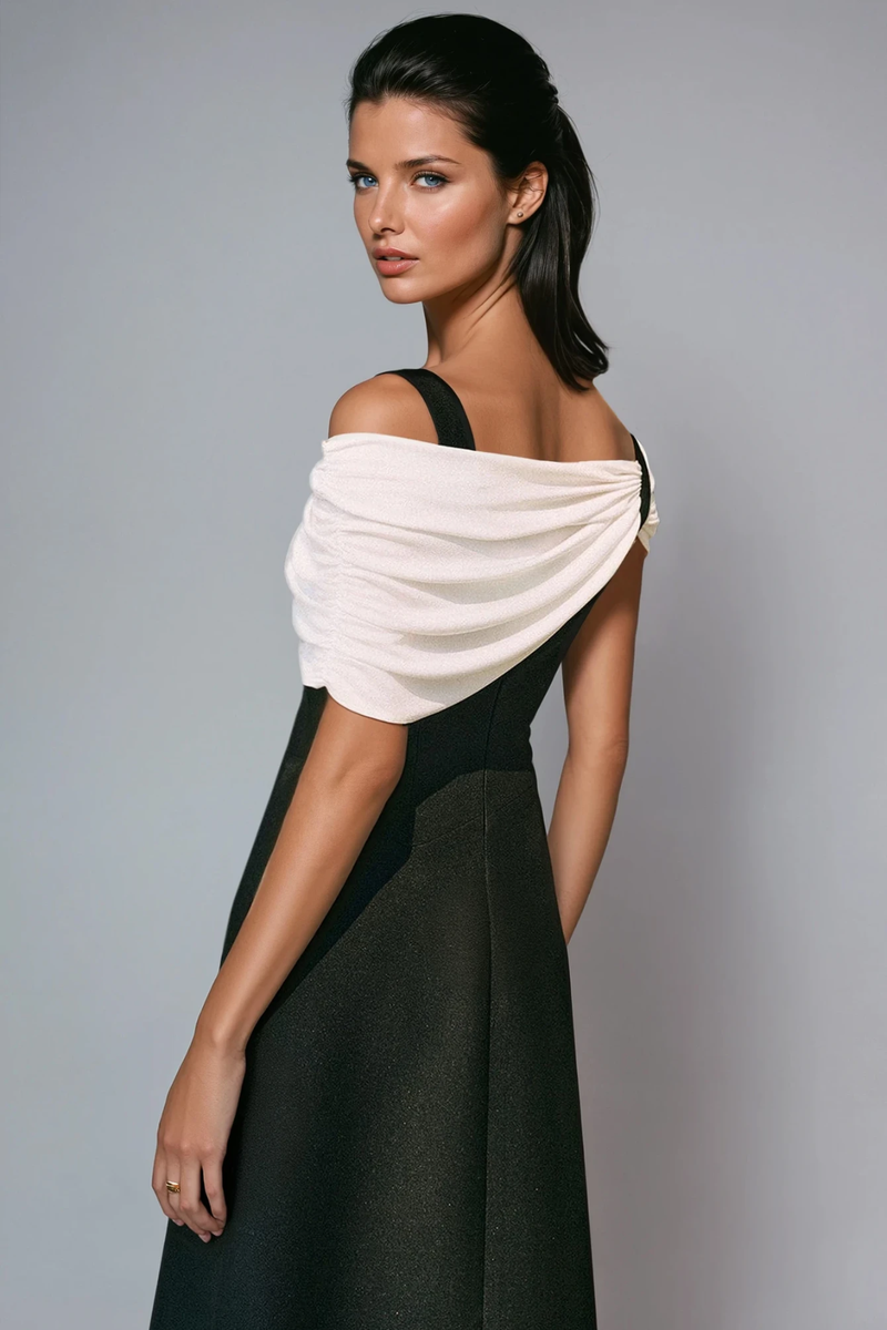 Sophisticated Dress with a Clean Classic Look