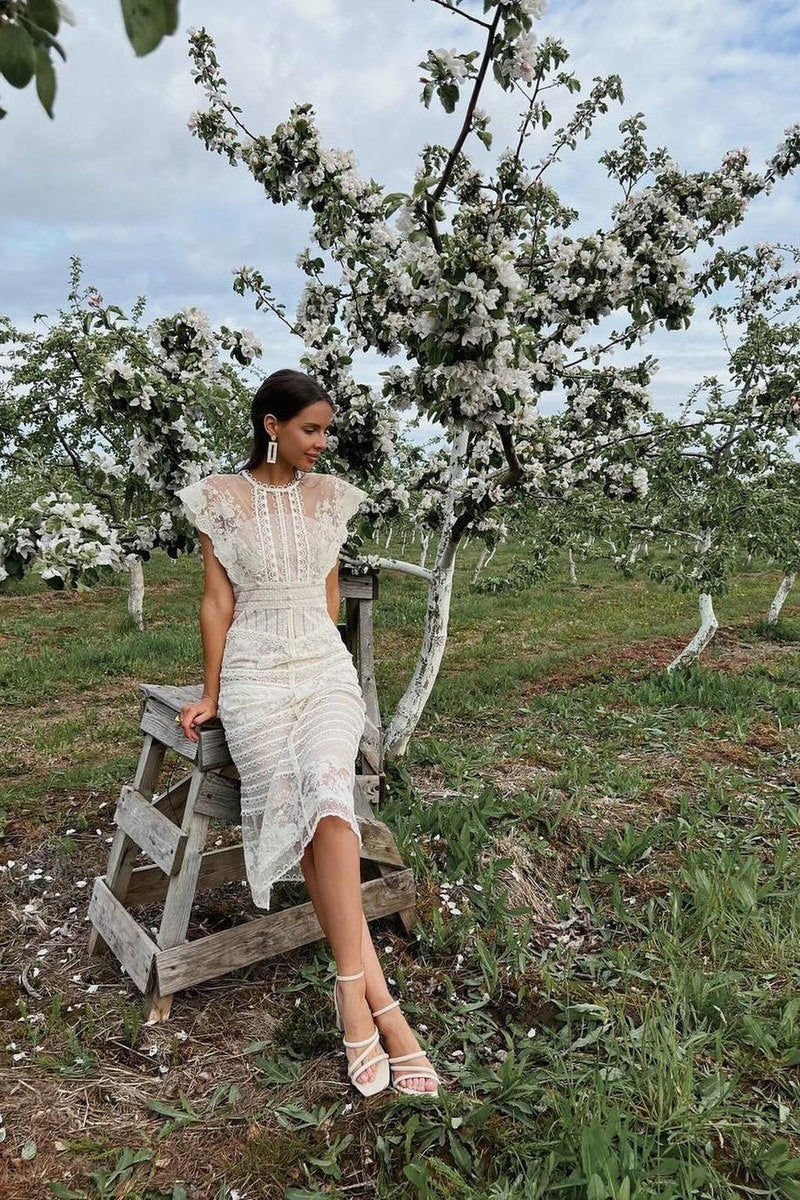 Sophisticated Dress with a Clean Classic Look