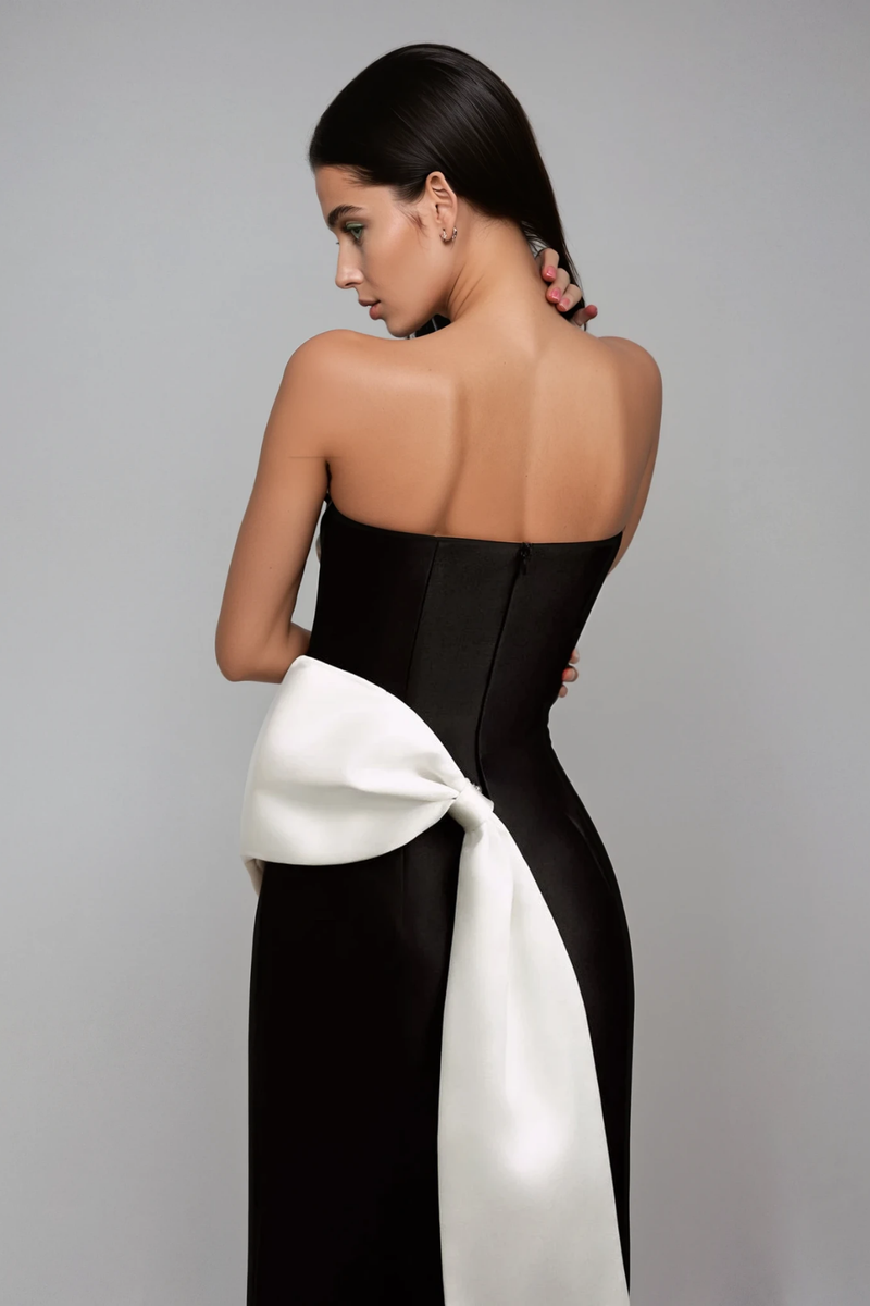 Gracefully Styled Dress for Any Occasion
