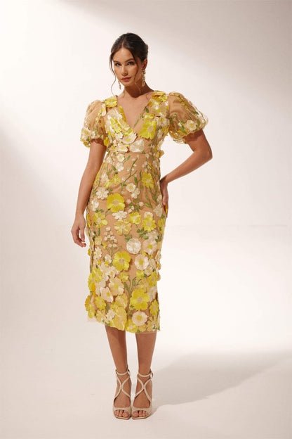 Sophisticated Dress with a Clean Classic Look