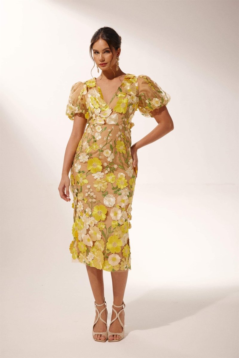 Sophisticated Dress with a Clean Classic Look
