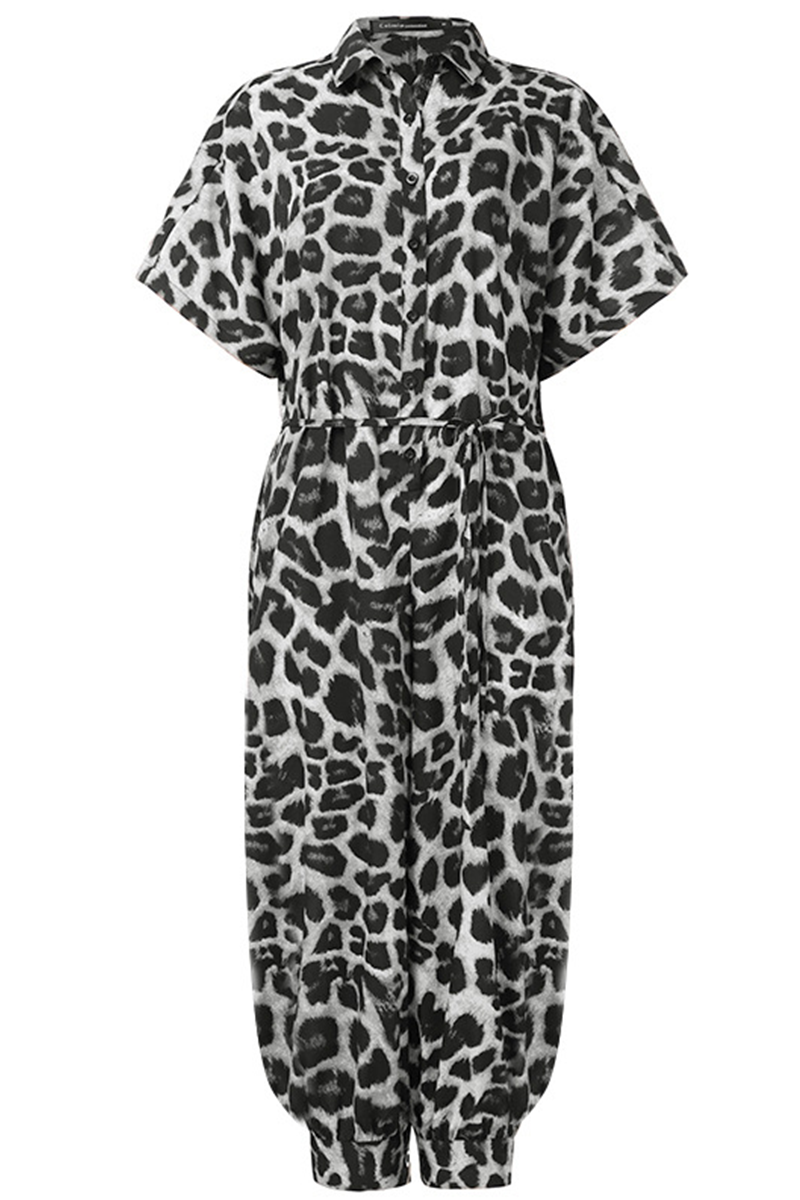 Well Tailored Garment with a Graceful Silhouette