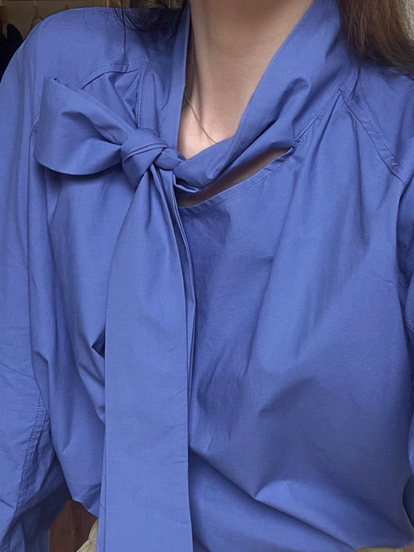 Gracefully Styled Blouse for Any Occasion