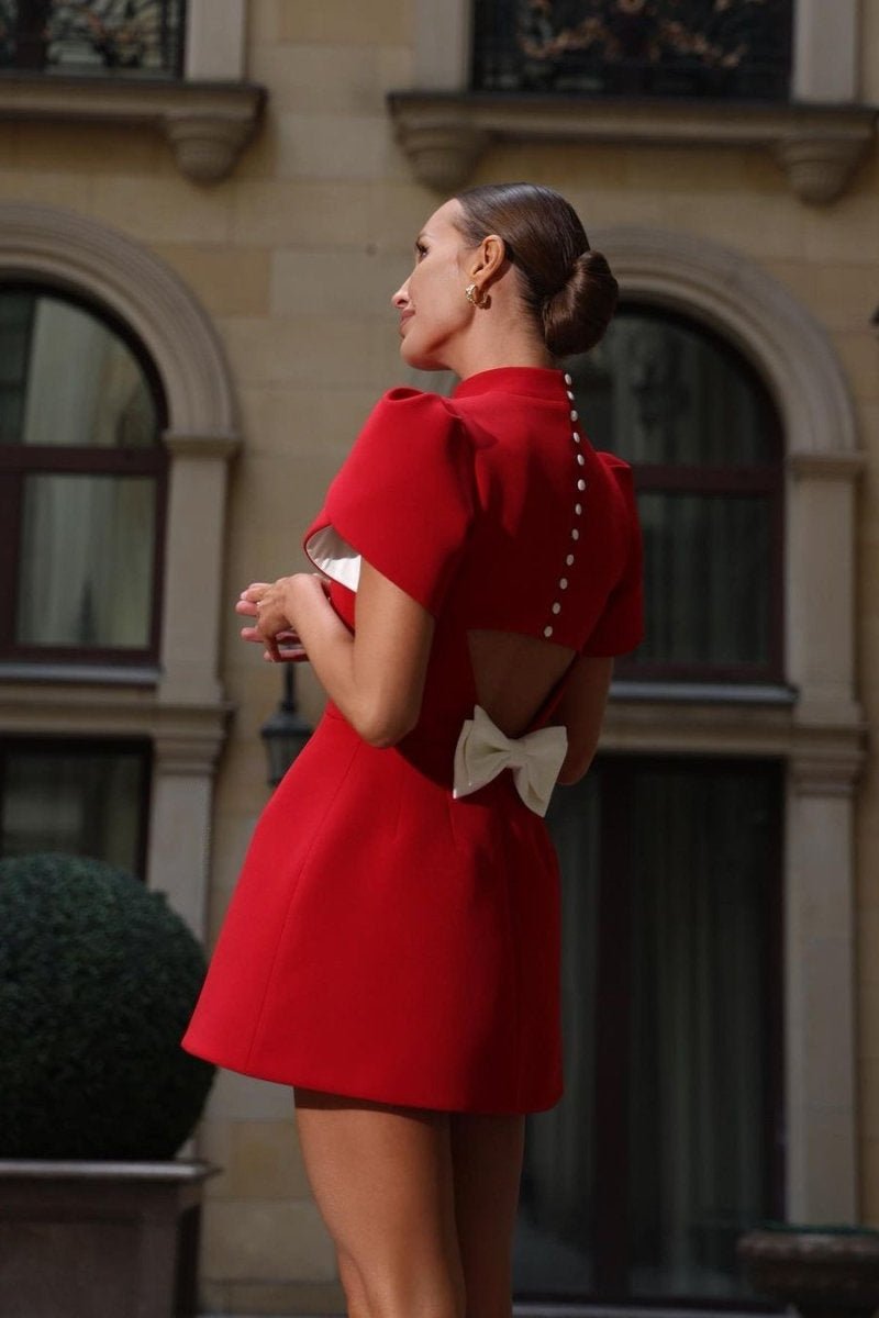 Gracefully Styled Dress for Any Occasion