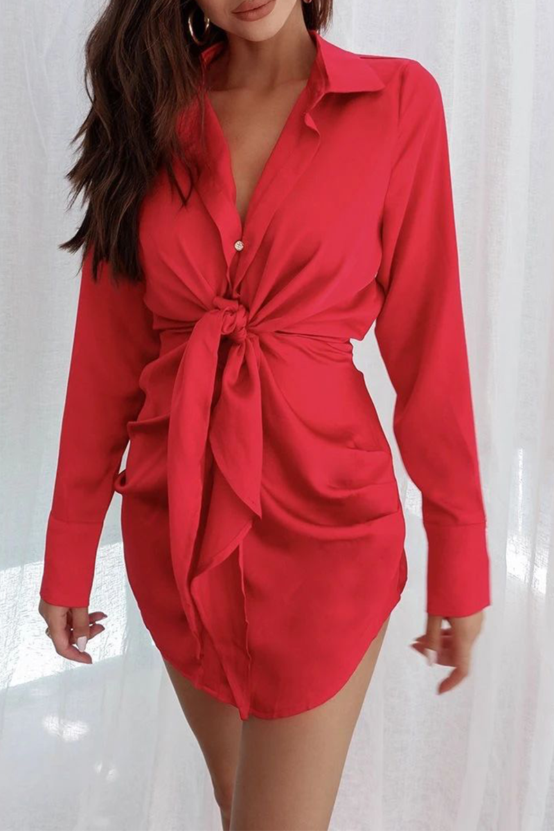 Elegantly Styled Dress for Everyday Wear