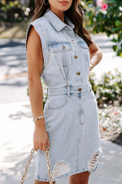 Sophisticated Dress with a Clean Classic Look