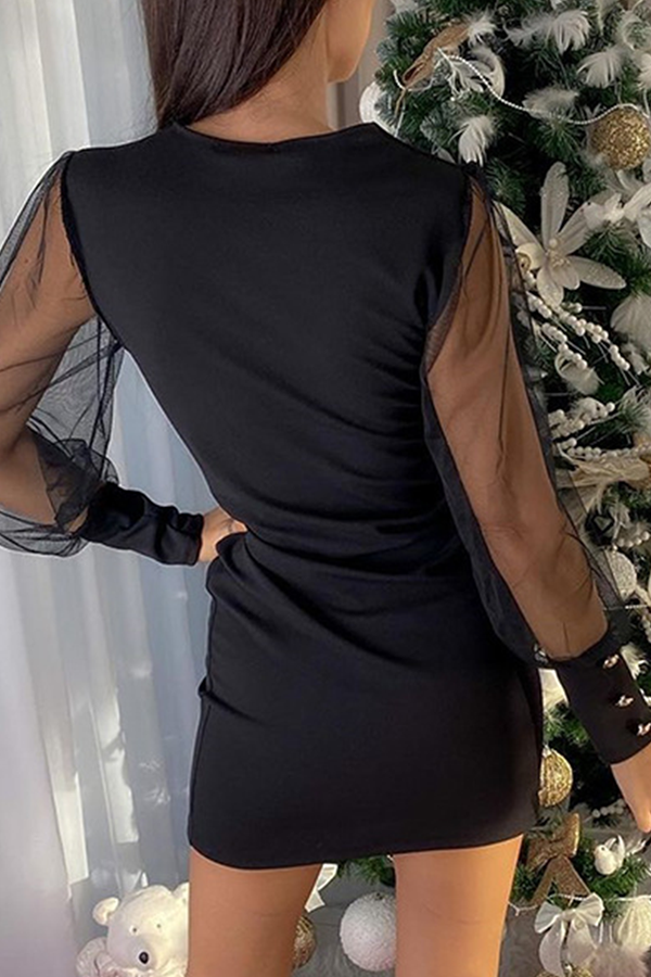 Sophisticated Dress with a Clean Classic Look
