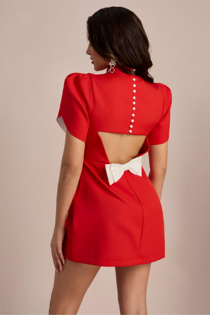 Gracefully Styled Dress for Any Occasion