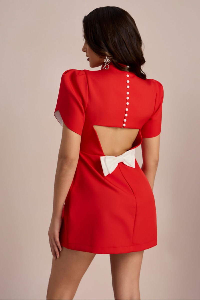 Gracefully Styled Dress for Any Occasion