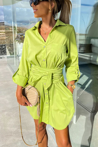 Sophisticated Dress with a Clean Classic Look