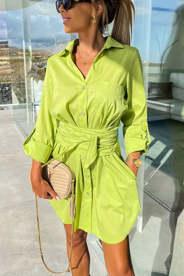 Sophisticated Dress with a Clean Classic Look