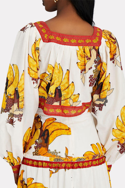 Elegantly Styled Top for Everyday Wear