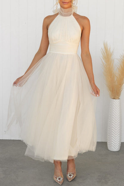 Sophisticated Dress with a Clean Classic Look