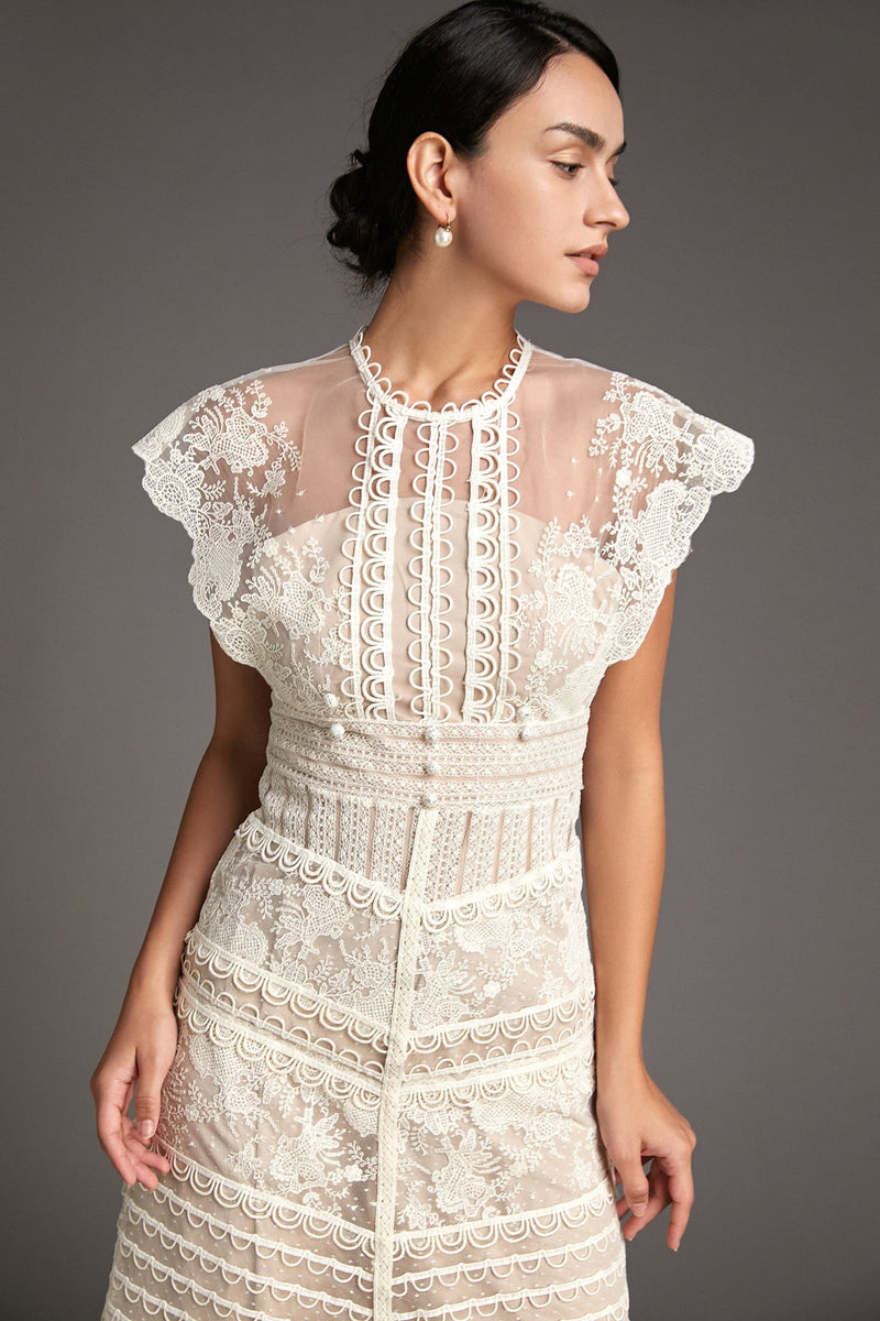 Sophisticated Dress with a Clean Classic Look
