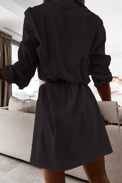 Sophisticated Dress with a Clean Classic Look