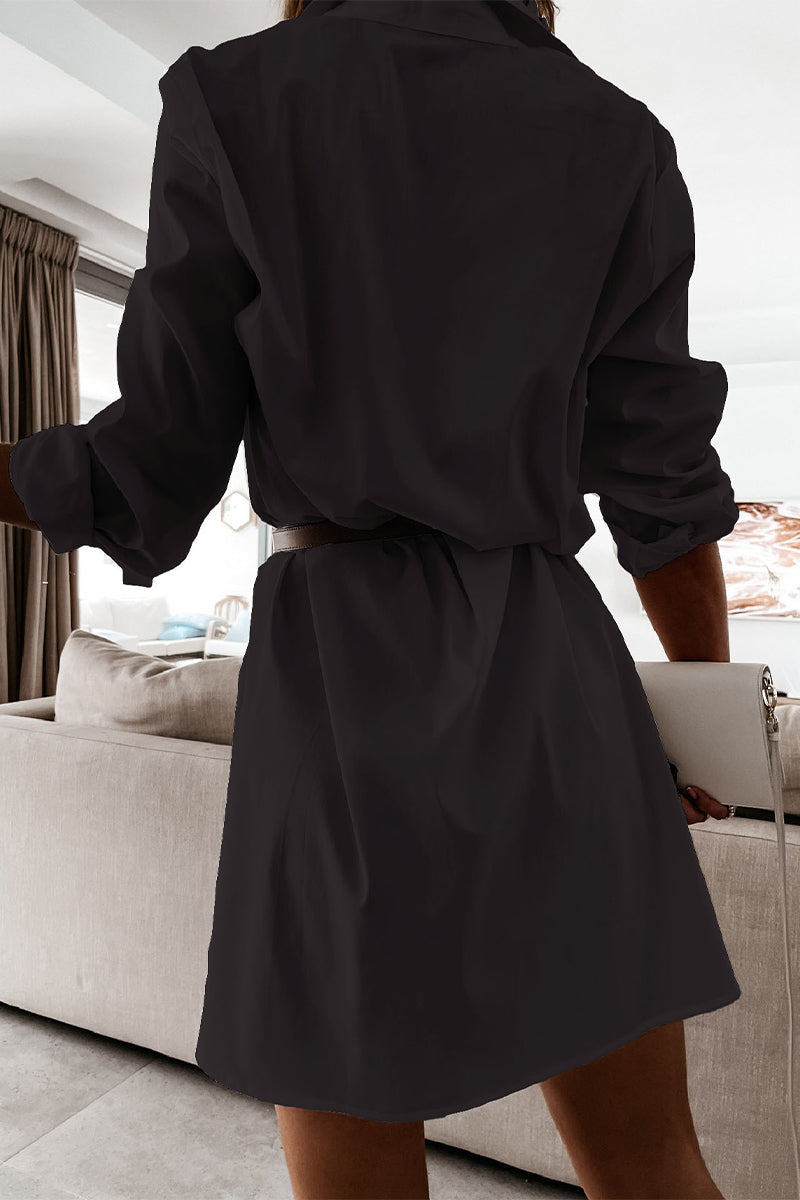 Sophisticated Dress with a Clean Classic Look