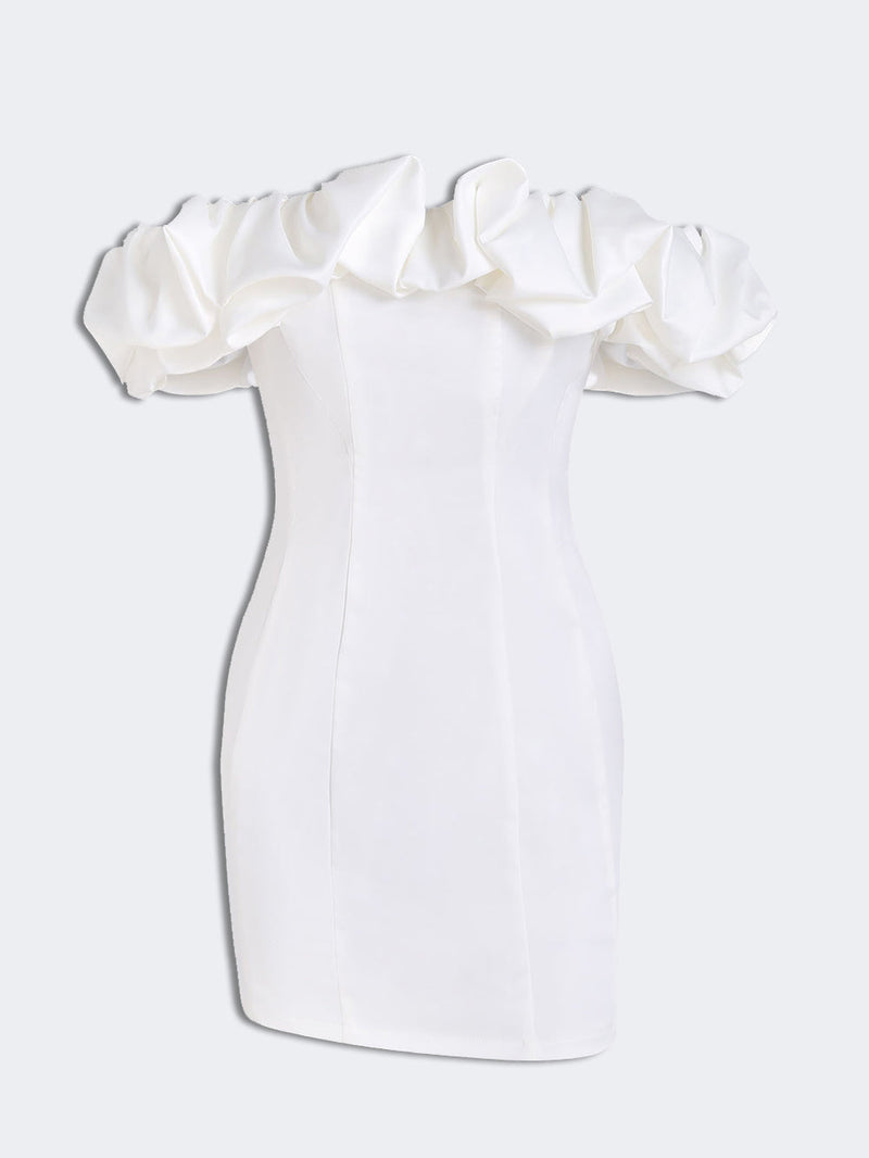Sophisticated Dress with a Clean Classic Look