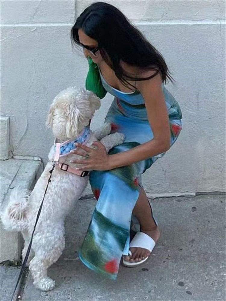 Gracefully Styled Dress for Any Occasion