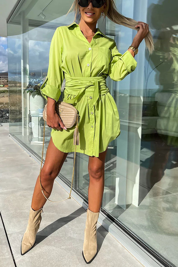 Sophisticated Dress with a Clean Classic Look