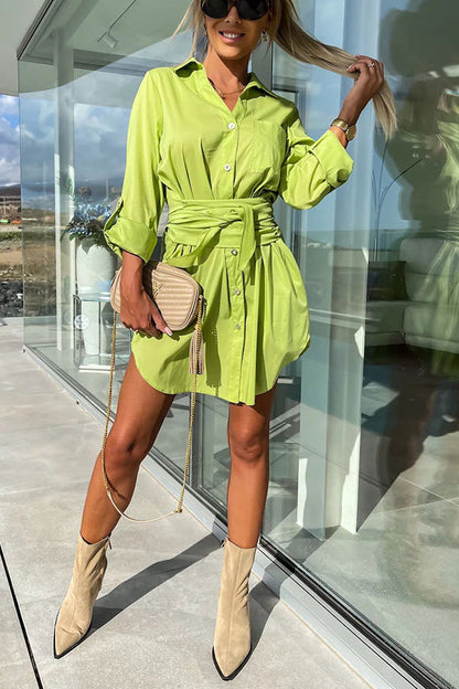 Sophisticated Dress with a Clean Classic Look