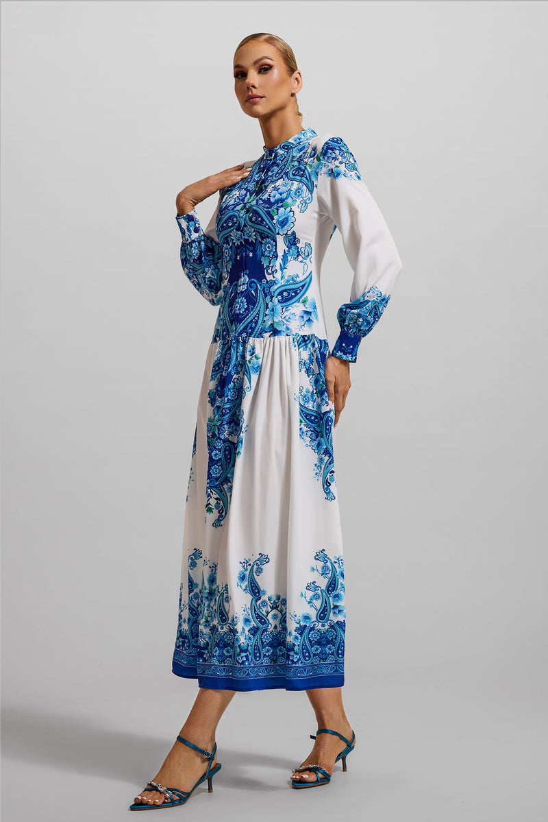Gracefully Styled Dress for Any Occasion