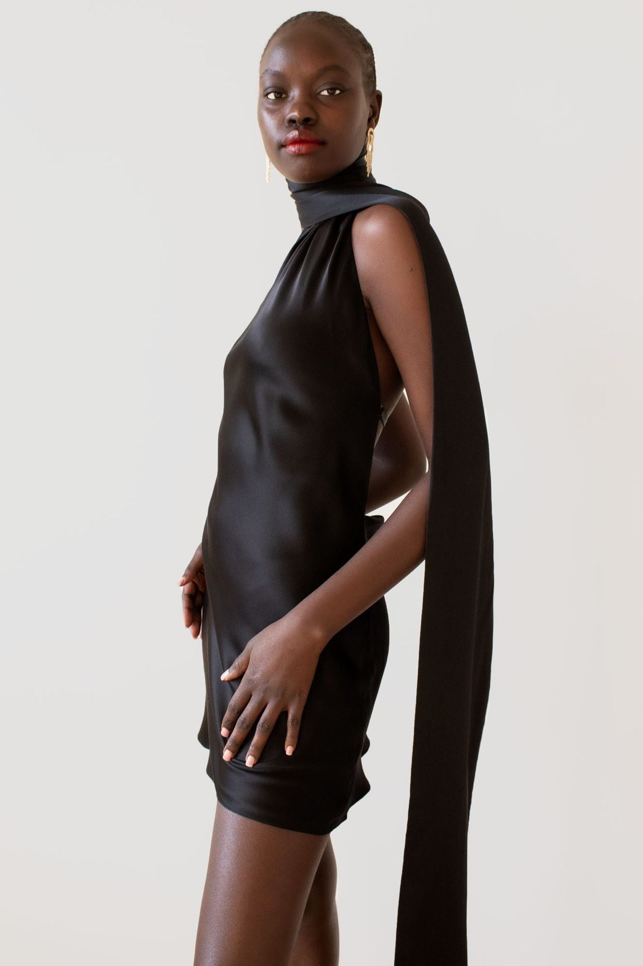 Effortlessly Elegant Dress with a Timeless Design