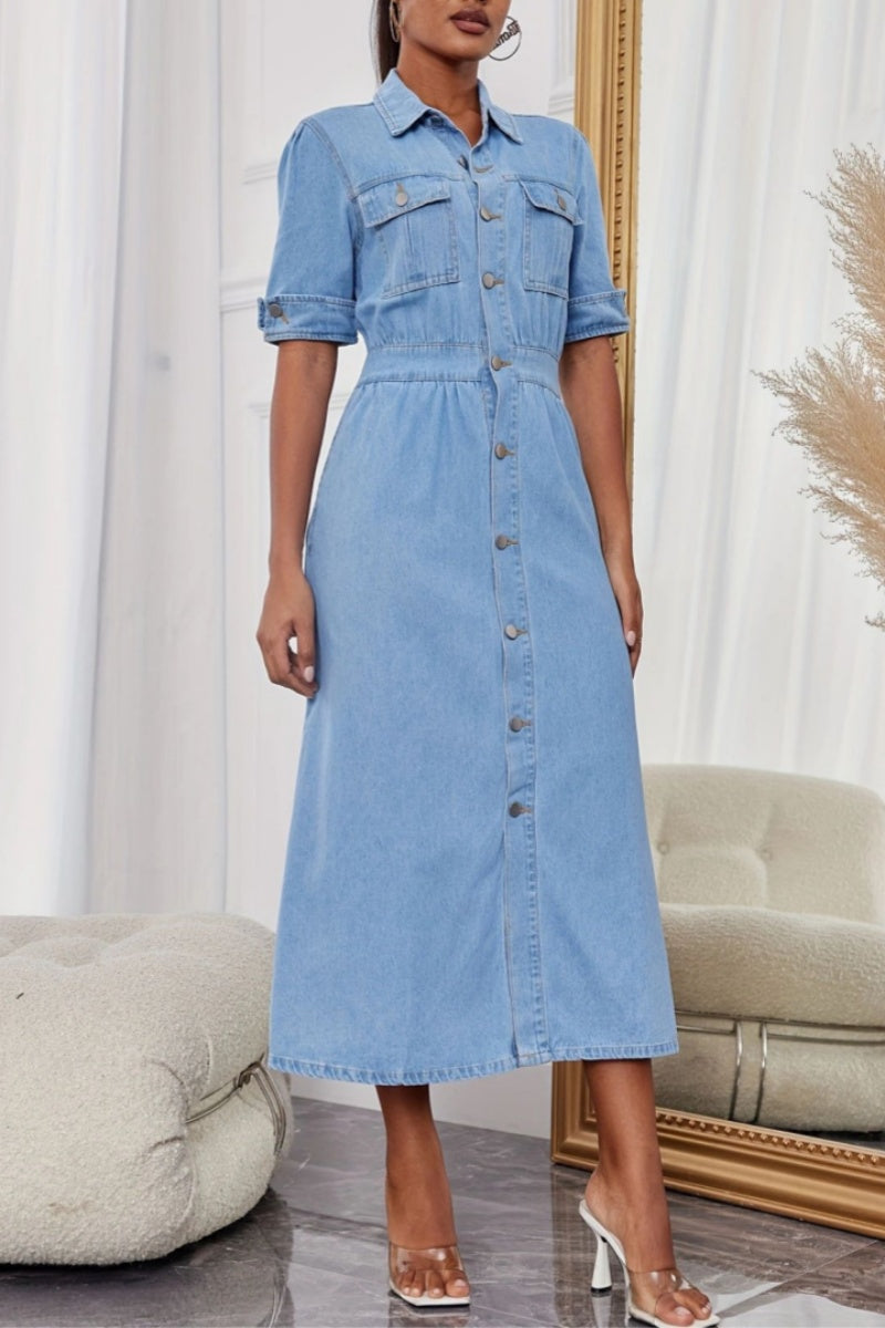 Sophisticated Dress with a Clean Classic Look