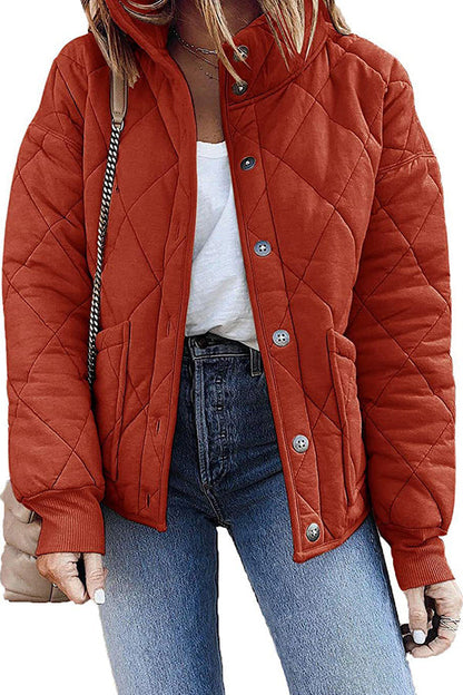 Sophisticated Coat with a Clean Classic Look
