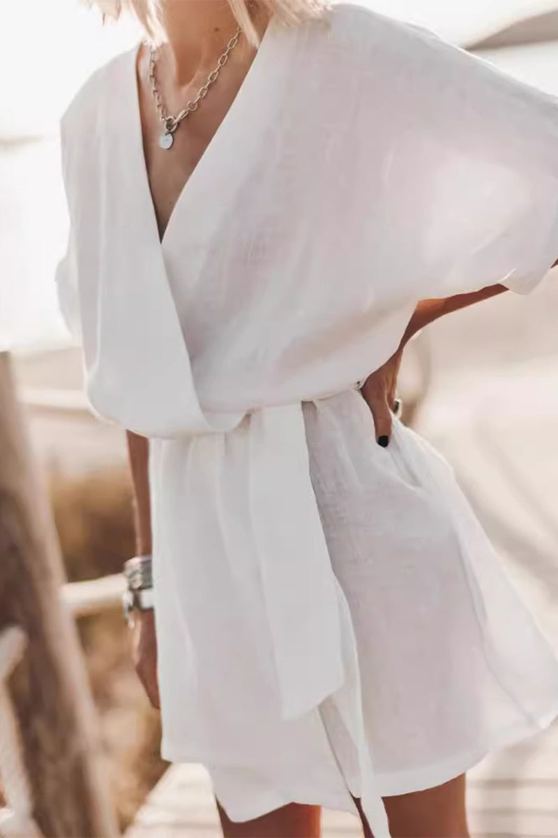Sophisticated Dress with a Clean Classic Look