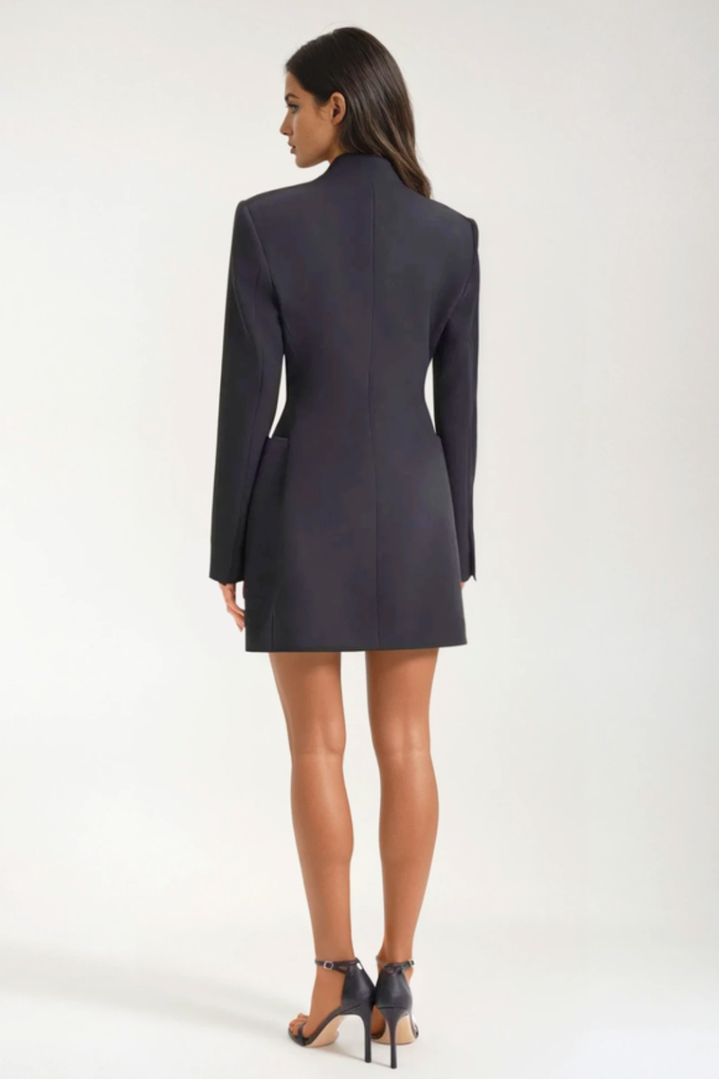 Sophisticated Dress with a Clean Classic Look