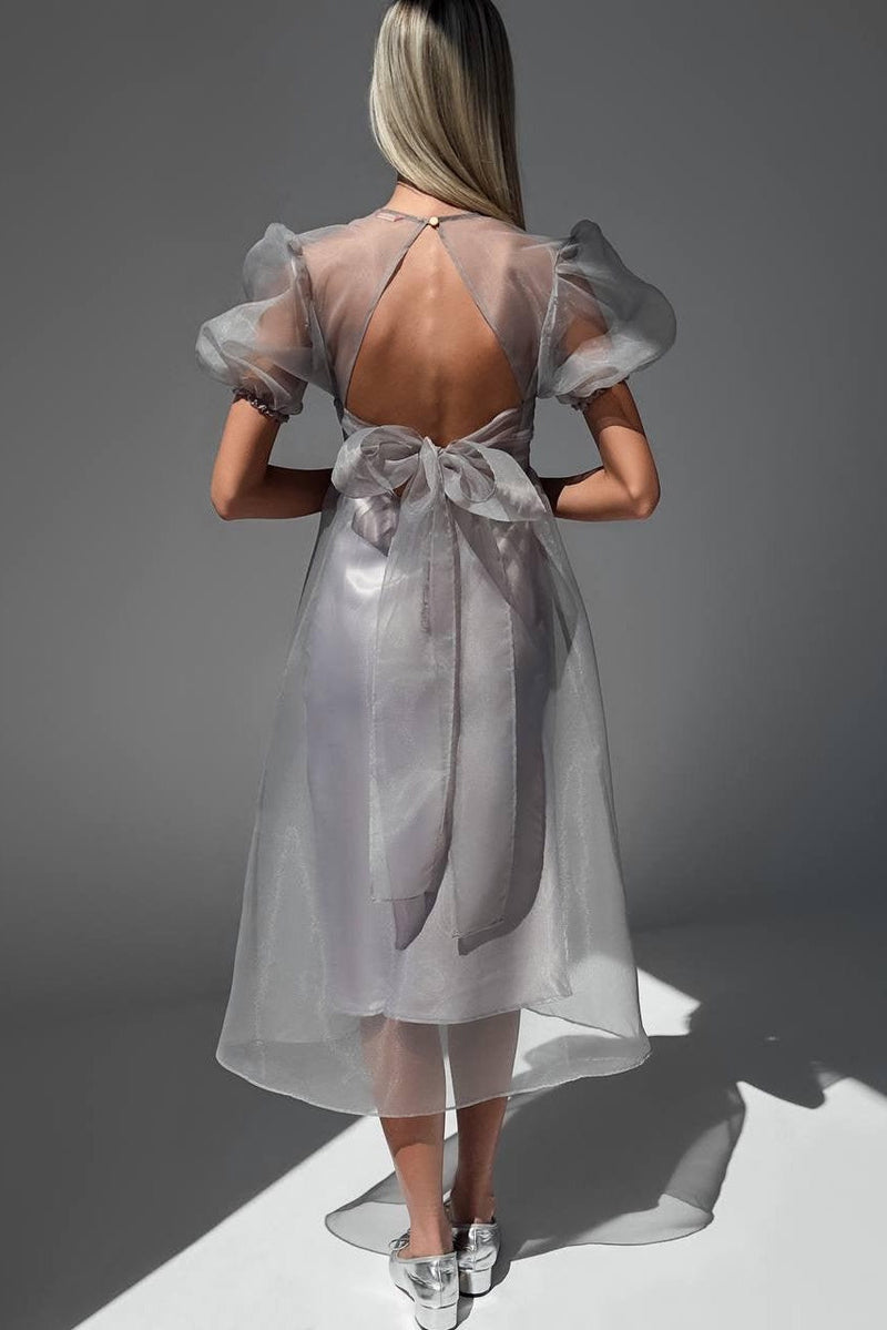 Gracefully Styled Dress for Any Occasion