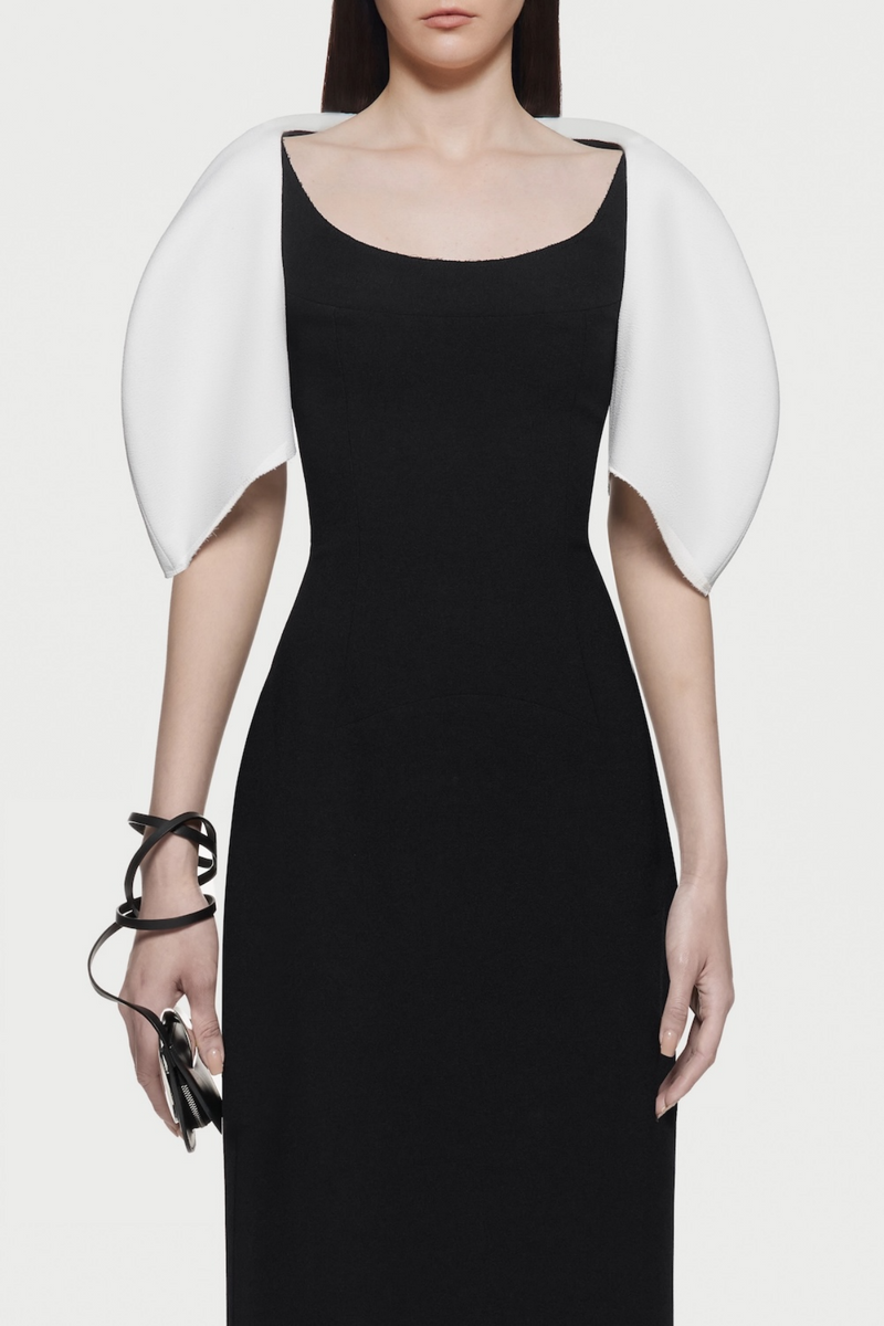 Sophisticated Dress with a Clean Classic Look