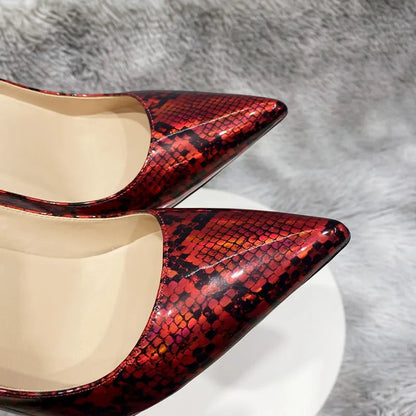 Sophisticated Shoes with a Clean Classic Look