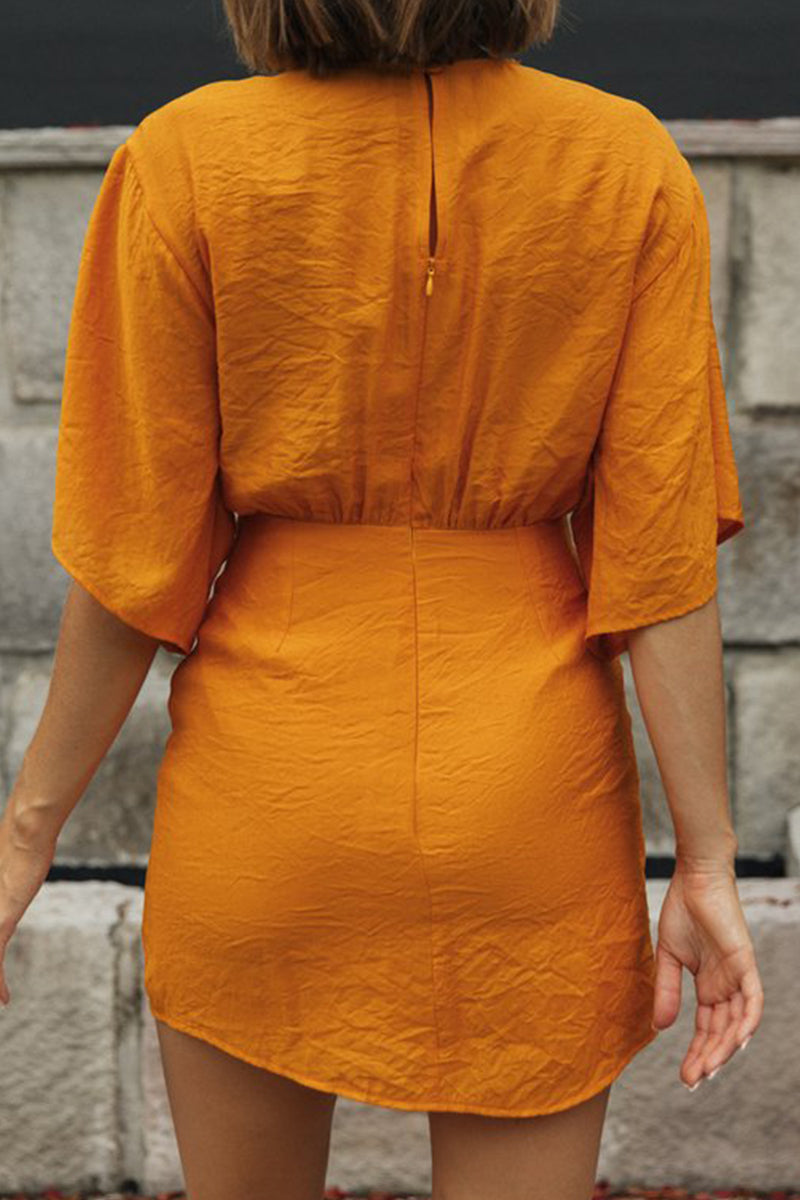 Sophisticated Dress with a Clean Classic Look