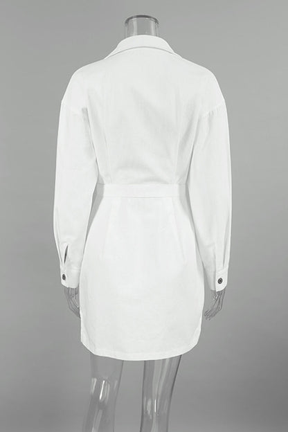 Sophisticated Dress with a Clean Classic Look