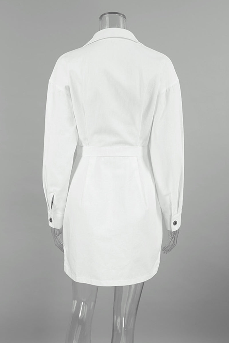 Sophisticated Dress with a Clean Classic Look
