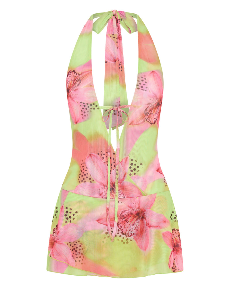Beautifully Balanced Dress with Timeless Character