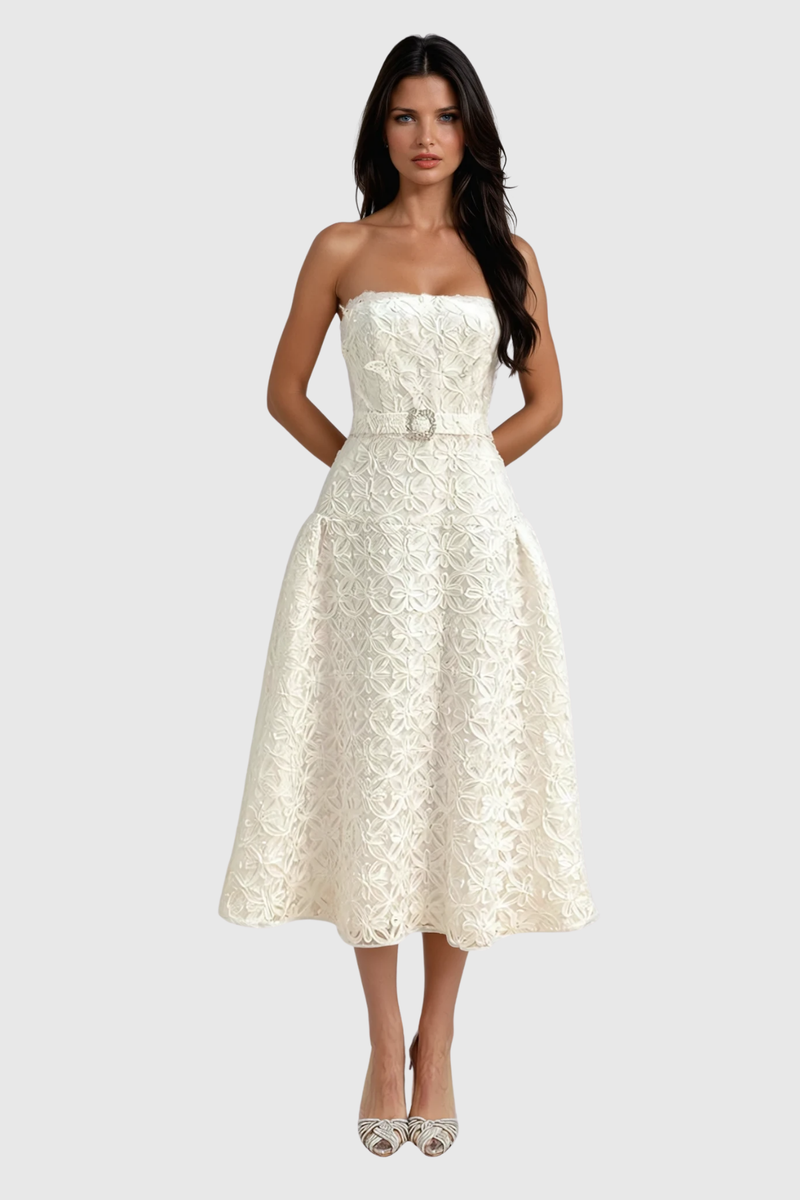Sophisticated Dress with a Clean Classic Look