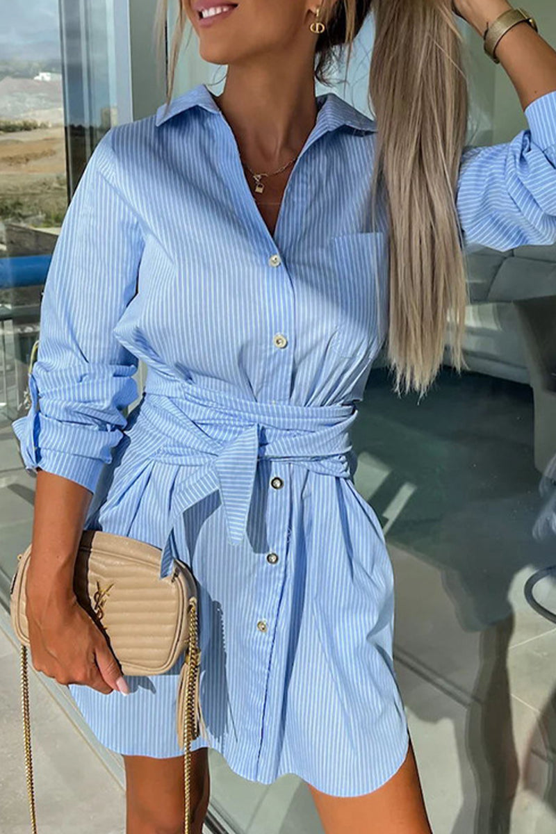 Sophisticated Dress with a Clean Classic Look