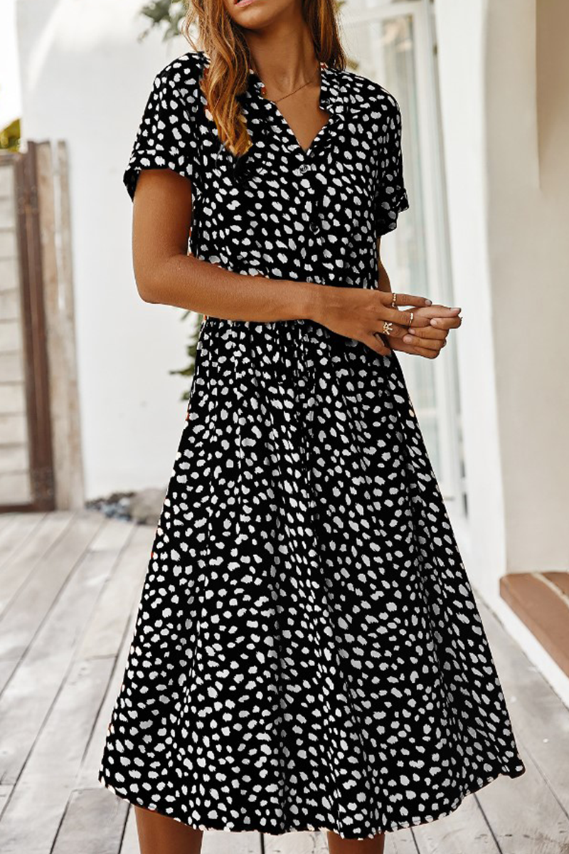 Sophisticated Dress with a Clean Classic Look
