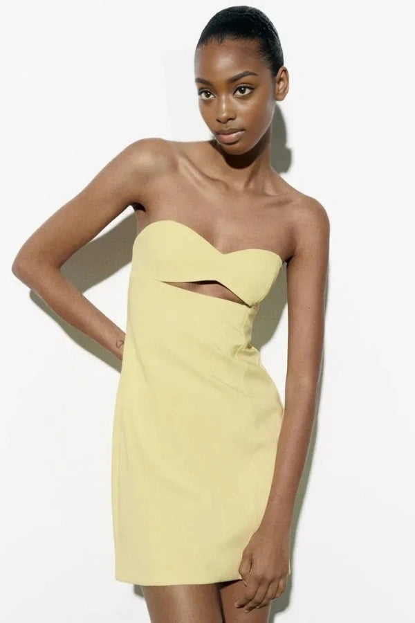 Sophisticated Dress with a Clean Classic Look
