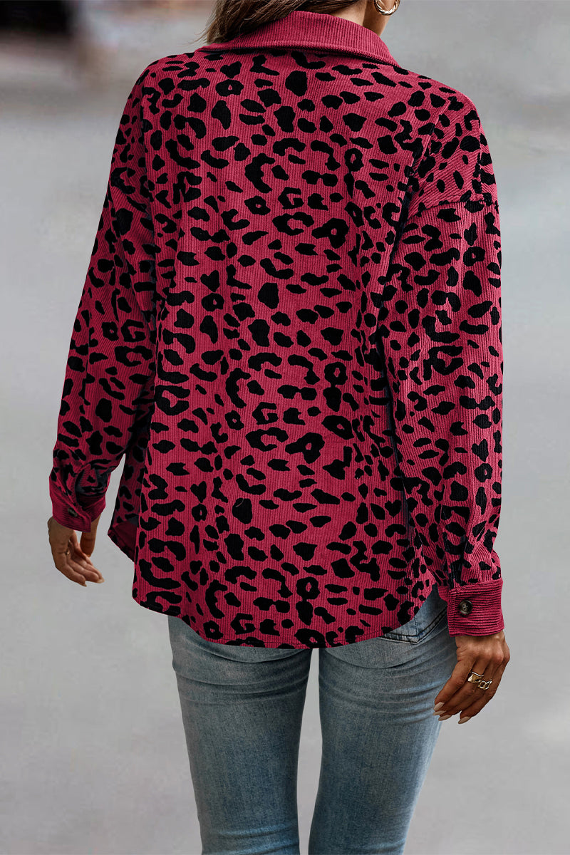 Elegantly Styled Top for Everyday Wear